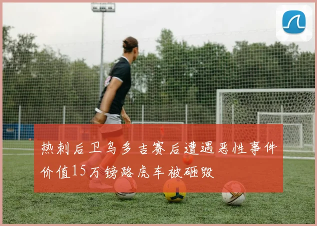 热刺后卫乌多吉赛后遭遇恶性事件价值15万镑路虎车被砸毁