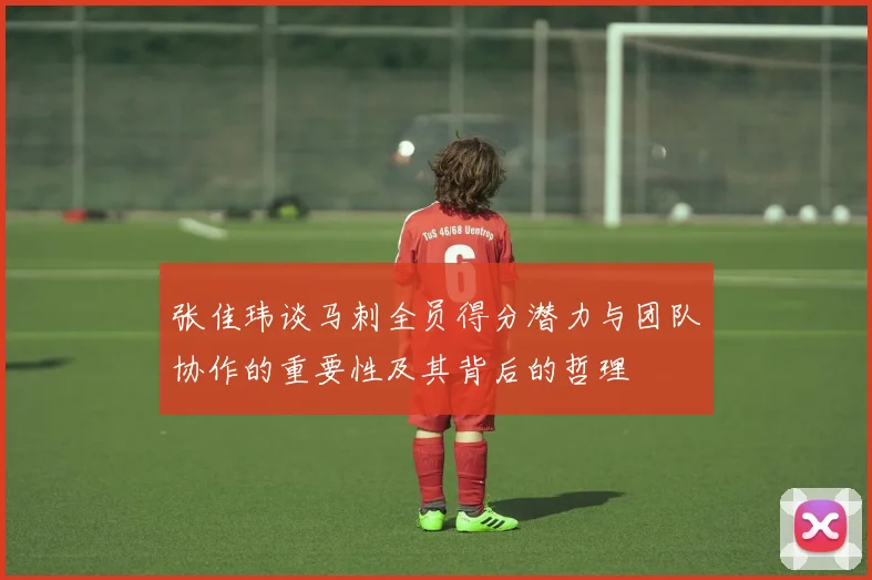 张佳玮谈马刺全员得分潜力与团队协作的重要性及其背后的哲理