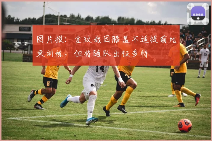 图片报：金玟哉因膝盖不适提前结束训练，但将随队出征多特